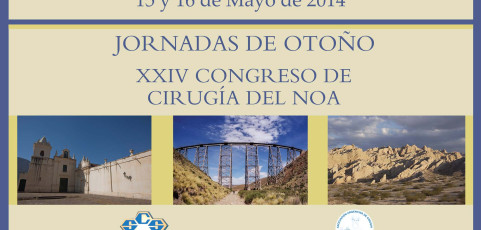 Expertices en Cirugia por Soledad Urtubey (Salta Argentina)