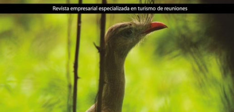 Turismo de Reuniones: Desafíos 2015