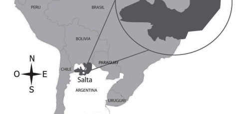 Turismo de Reuniones: Salta y Equipo País (Soledad Urtubey)