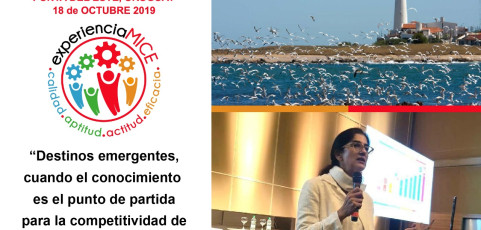 II Jornada Internacional Experiencia MICE Por Soledad Urtubey (Consultora en Eventos, Argentina)